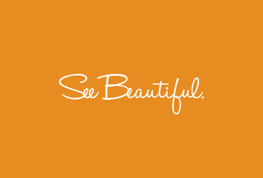 Hayden_vision_source_See_Beautiful_typography_logo_graphic_design_tran_creative